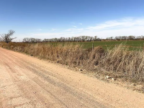 Lot 19 County Road 446, De Leon, TX 76444