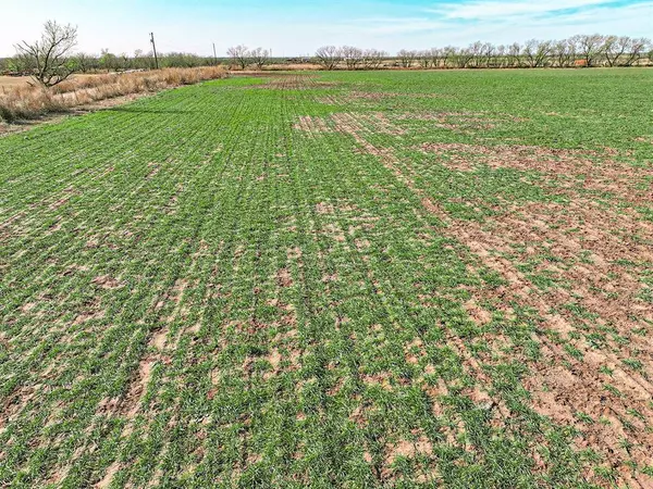 Lot 19 County Road 446, De Leon, TX 76444