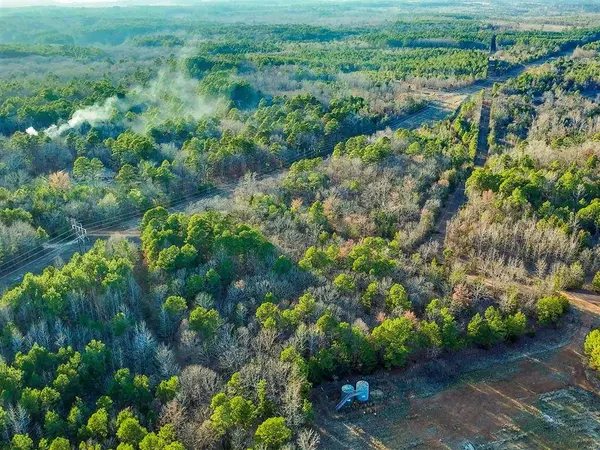 TBD County Road 1512, Avinger, TX 75630