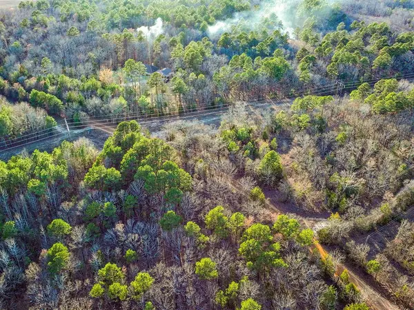 TBD County Road 1512, Avinger, TX 75630