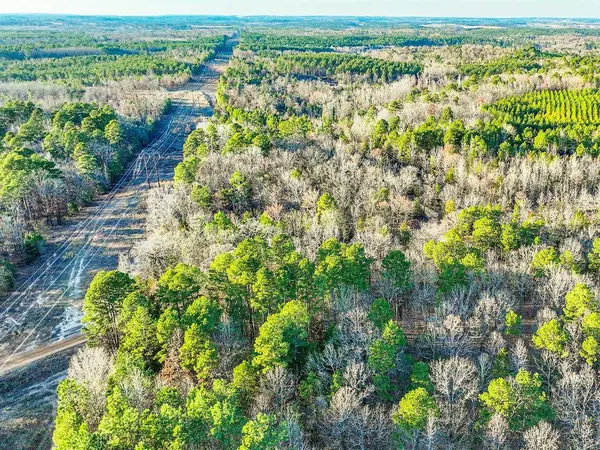 TBD County Road 1512, Avinger, TX 75630