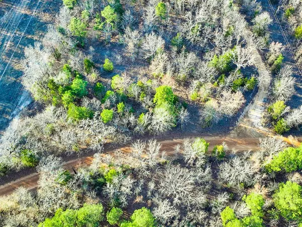 TBD County Road 1512, Avinger, TX 75630