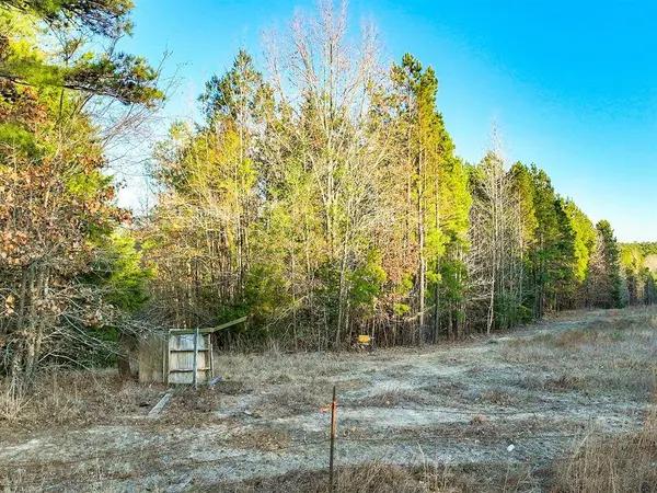 TBD County Road 1512, Avinger, TX 75630