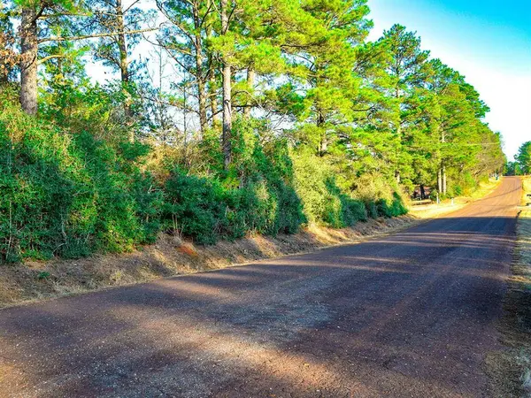 TBD County Road 2138, Henderson, TX 75652