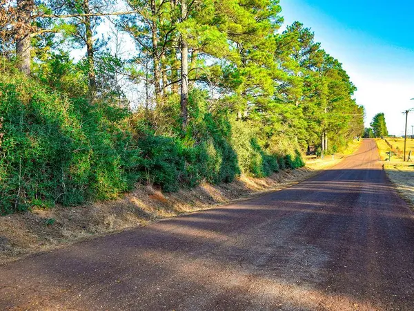 TBD County Road 2138, Henderson, TX 75652