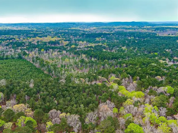 TBD Mason Lane, Hemphill, TX 75959