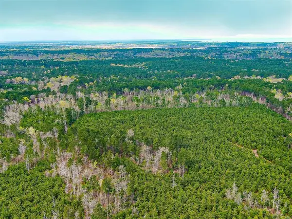 TBD Mason Lane, Hemphill, TX 75959