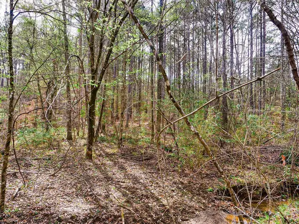 TBD Mason Lane, Hemphill, TX 75959