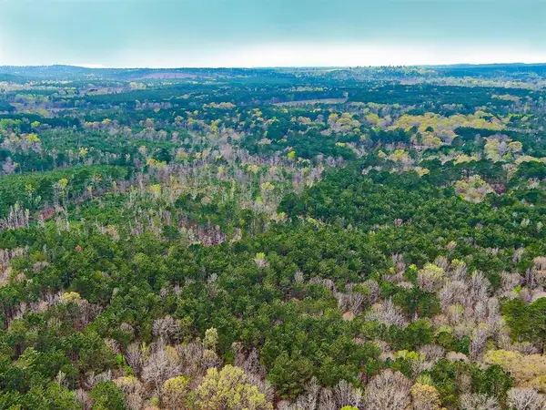 TBD Mason Lane, Hemphill, TX 75959