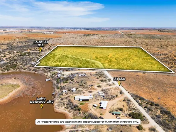 TBD County Rd 317, Colorado City, TX 79512