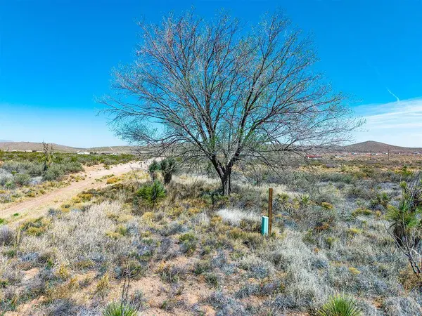 TBD Dave Head Loop, Fort Hancock, TX 79839