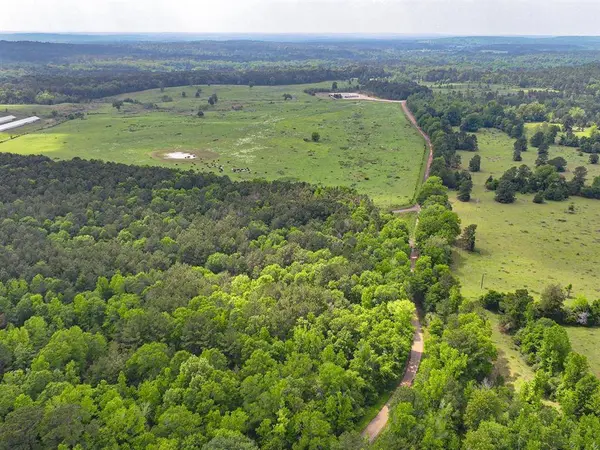 TBD Kings Rd, Hemphill, TX 75972