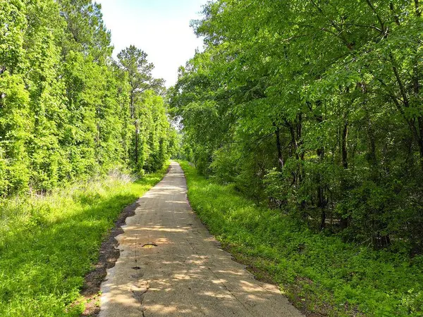 TBD Kings Rd, Hemphill, TX 75972