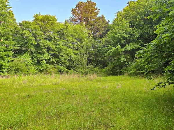TBD W Cathy Street, Lone Star, TX 75668