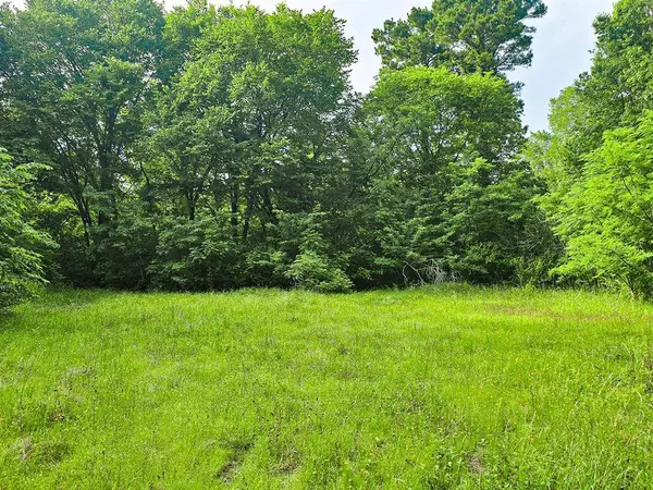 0 TBD W Cathy Street, Lone Star, TX 75668