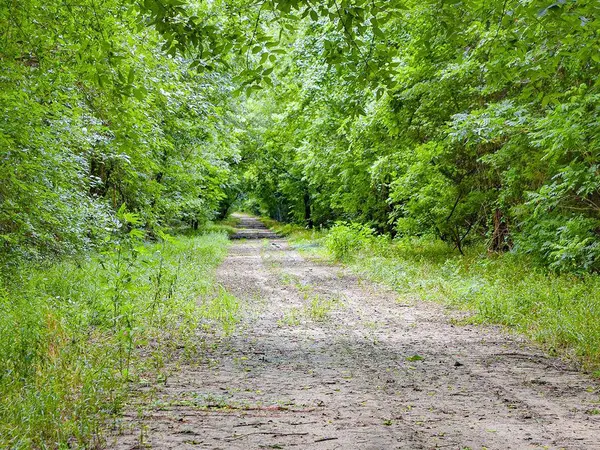 3280 Ws Rail Road, Ben Franklin, TX 75415