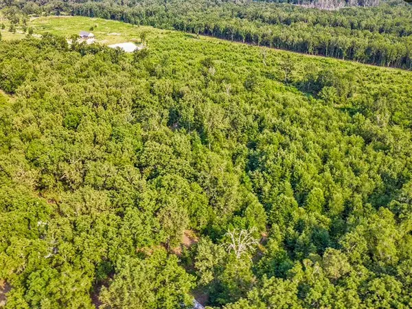 1253 County Road 1362, Mount Pleasant, TX 75455