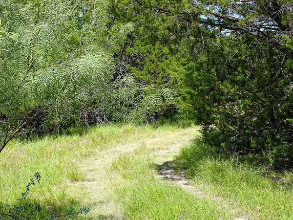 Lot 1 61 County Road 442, Goldthwaite, TX 76844
