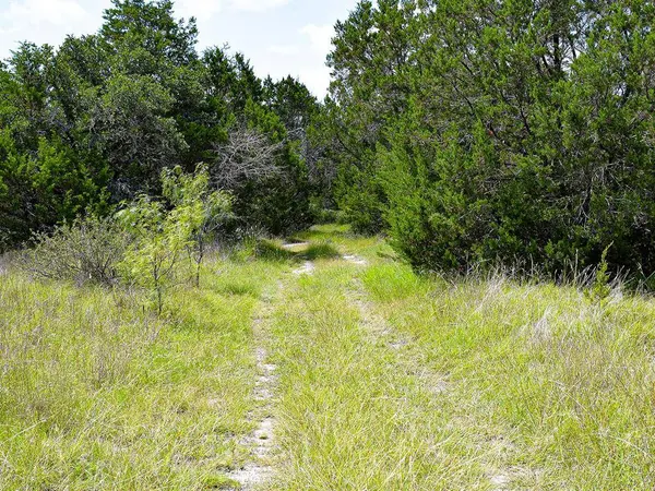 Lot 1 61 County Road 442, Goldthwaite, TX 76844