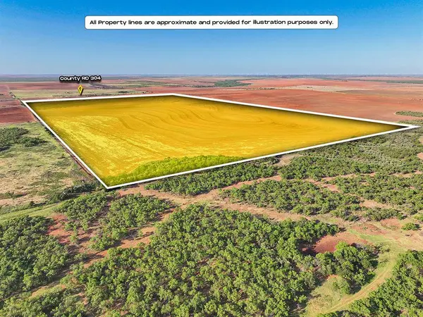APN 3166 Country Road 304, Roby, TX 79543