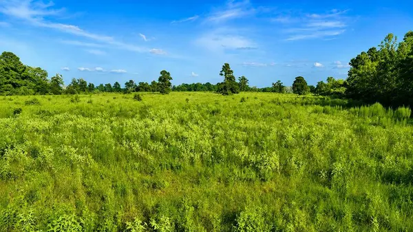 TBD Cr 114, Centerville, TX 75833