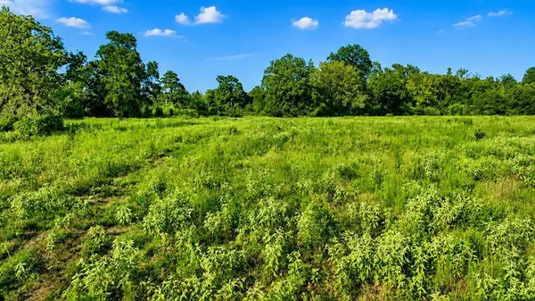 TBD Cr 114, Centerville, TX 75833