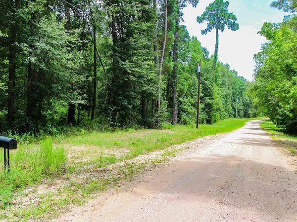 105 Gourd Creek Drive, Huntsville, TX 77340