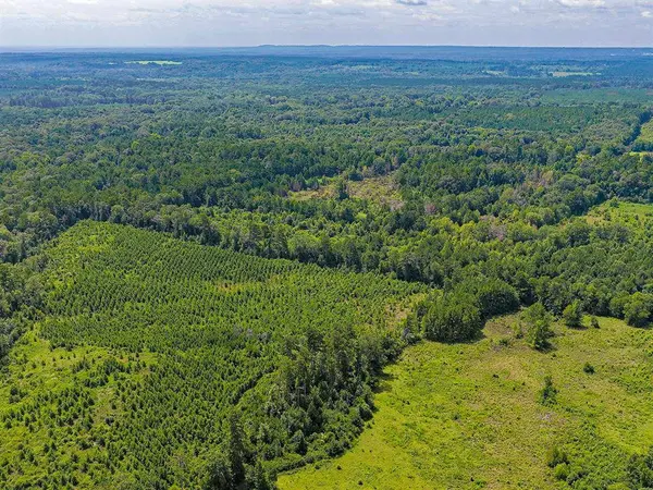 TBD County Road 276, Nacogdoches, TX 75961