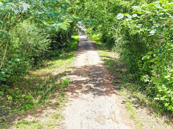 TBD County Road 276, Nacogdoches, TX 75961