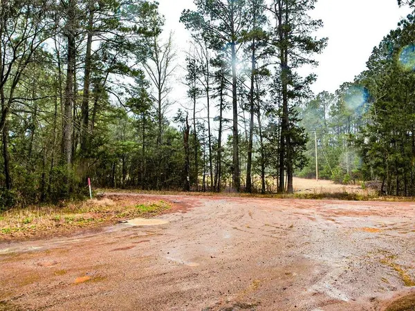 TBD County Road 2339, Marietta, TX 75566