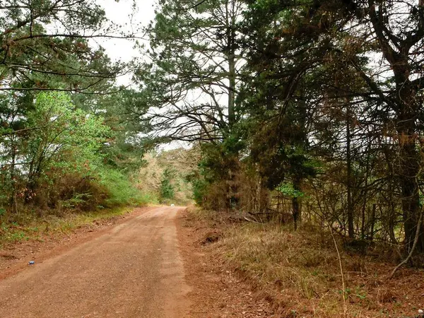 TBD County Road 2339, Marietta, TX 75566