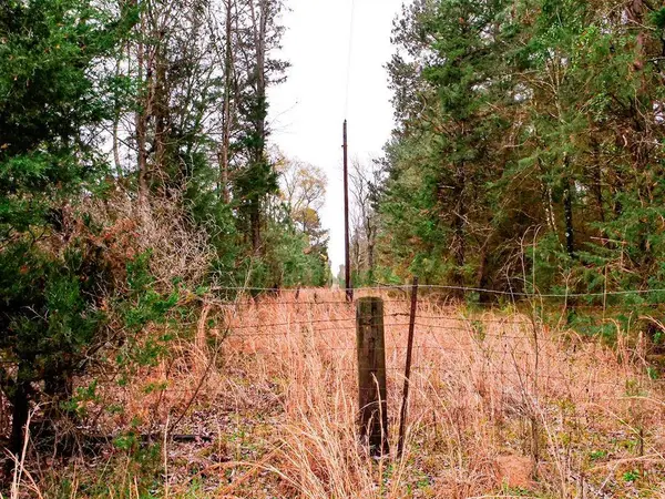 TBD County Road 2339, Marietta, TX 75566