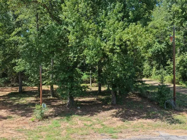 824 Balmorea Drive, Bullard, TX 75757