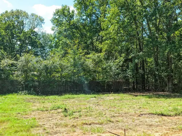 824 Balmorea Drive, Bullard, TX 75757