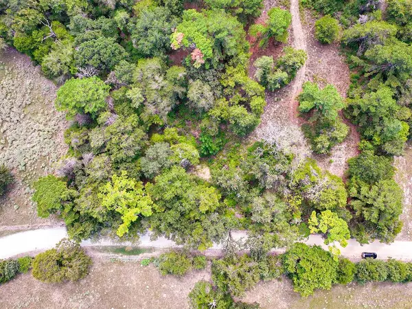 18064 County Road 443, Marquez, TX 77865