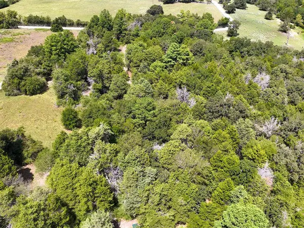 18064 County Road 443, Marquez, TX 77865