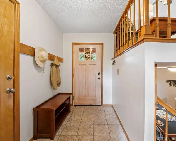 19765 Strasburg CT, Parker, CO 80134