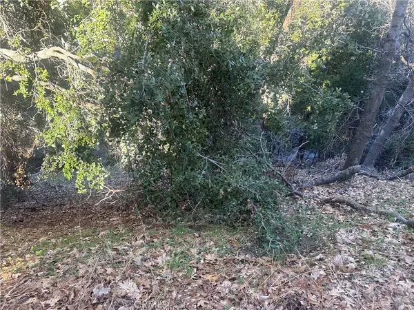 0 Ashar DR, Crestline, CA 92325