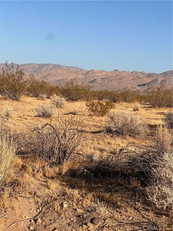 0 La Ferney, Joshua Tree, CA 92252