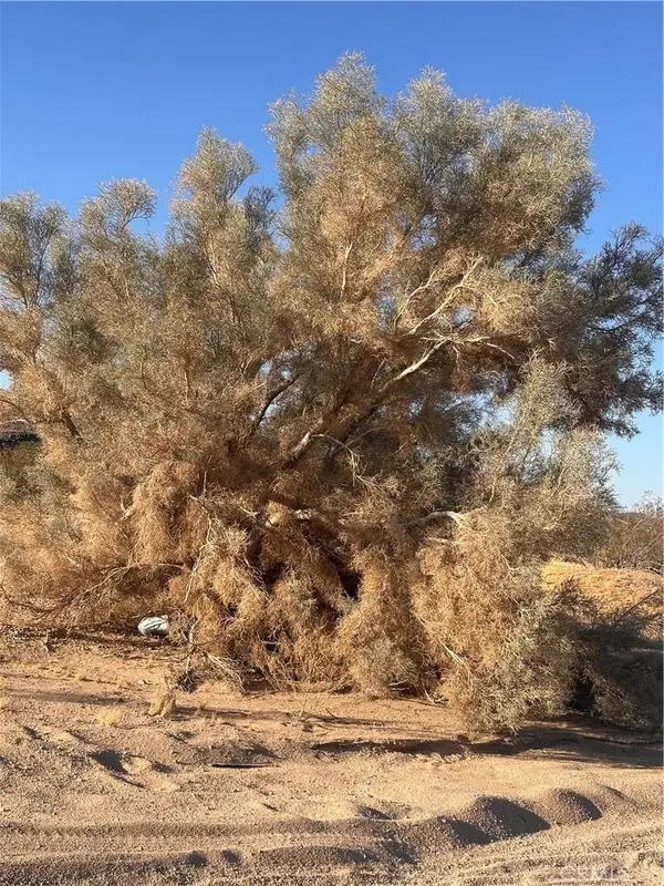 0 La Ferney, Joshua Tree, CA 92252