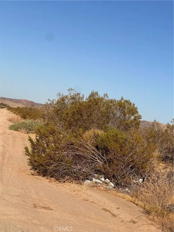 0 La Ferney, Joshua Tree, CA 92252