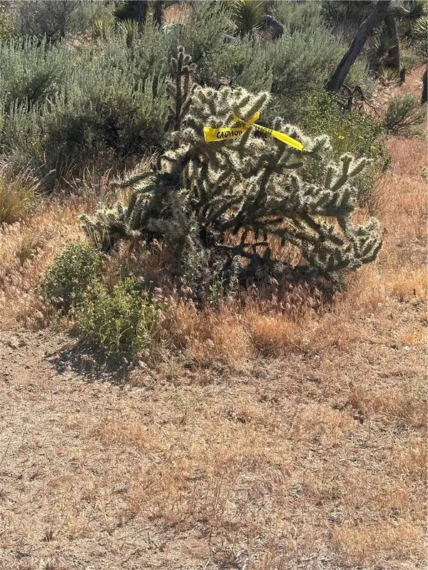 0 Mesquite RD, Pinon Hills, CA 92372