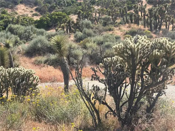 0 Mesquite RD, Pinon Hills, CA 92372