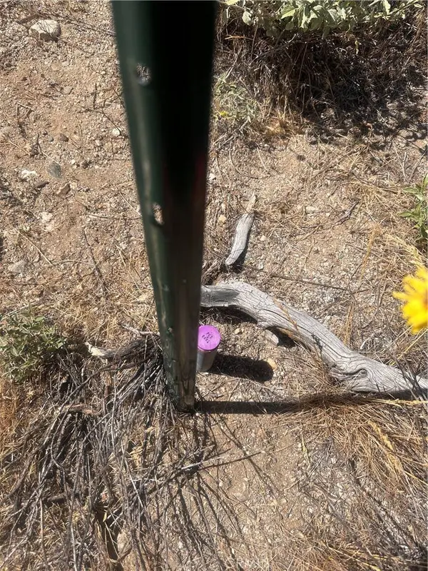 0 Mesquite RD, Pinon Hills, CA 92372