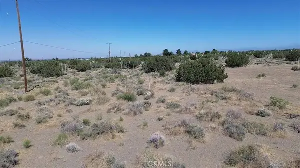 0 Coyote / Pionero RD, Pinon Hills, CA 92372