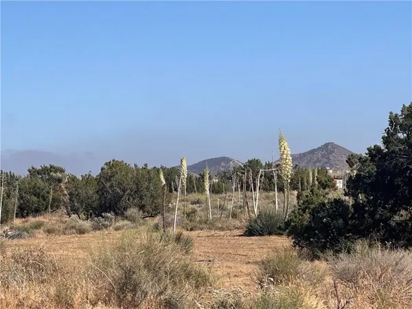 0 Coyote / Pionero RD, Pinon Hills, CA 92372