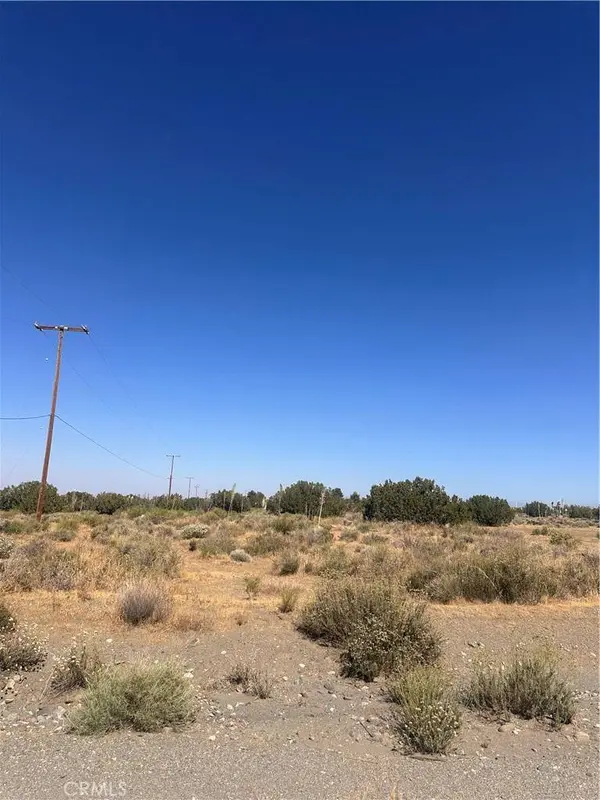 0 Coyote / Pionero RD, Pinon Hills, CA 92372