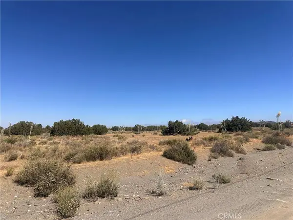 0 Coyote / Pionero RD, Pinon Hills, CA 92372