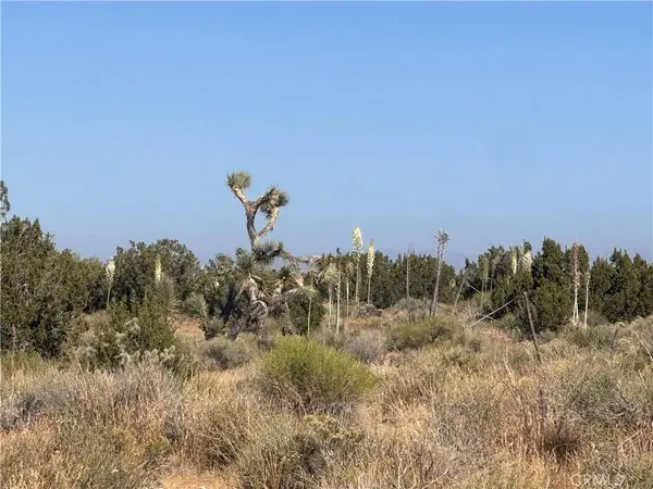 0 Coyote / Pionero RD, Pinon Hills, CA 92372