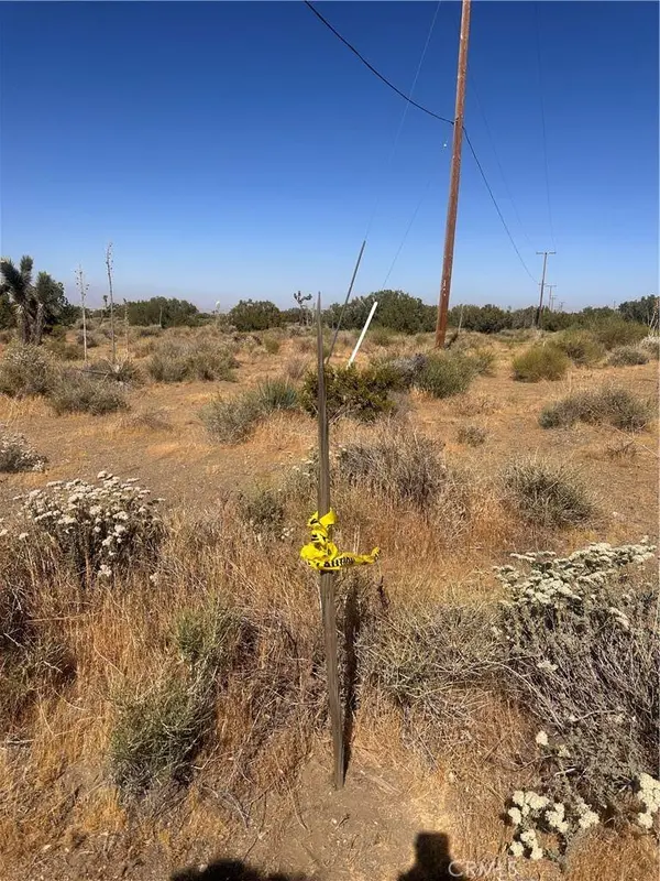 0 Coyote / Pionero RD, Pinon Hills, CA 92372